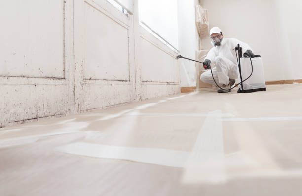 24/7 Emergency Attic Mold Removal experts in Trenton, FL